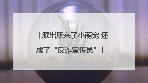派出所来了小萌宠 还成了“反诈宣传员”