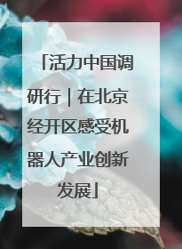 活力中国调研行｜在北京经开区感受机器人产业创新发展