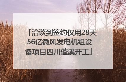 洽谈到签约仅用28天 56亿微风发电机组设备项目四川蓬溪开工