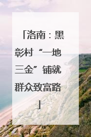 洛南：黑彰村“一地三金”铺就群众致富路