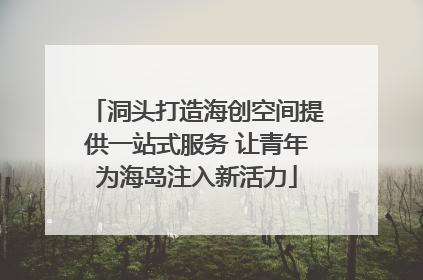 洞头打造海创空间提供一站式服务 让青年为海岛注入新活力
