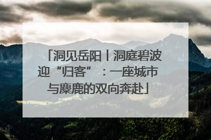 洞见岳阳丨洞庭碧波迎“归客”：一座城市与麋鹿的双向奔赴