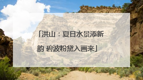 洪山：夏日水景添新韵 碧波粉黛入画来