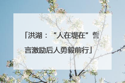 洪湖：“人在堤在”誓言激励后人勇毅前行