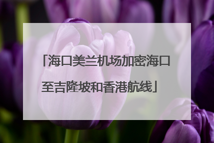 海口美兰机场加密海口至吉隆坡和香港航线