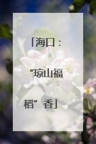 海口：“琼山福稻”香