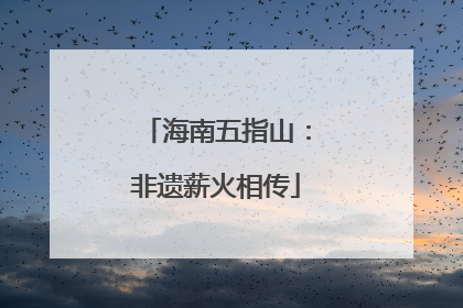 海南五指山：非遗薪火相传