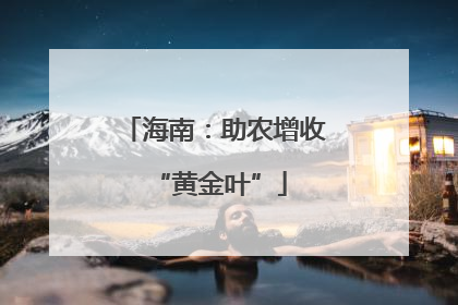 海南：助农增收 “黄金叶”