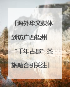 海外华文媒体到访广西梧州 “千年古郡”茶旅融合引关注