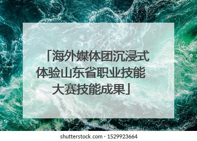 海外媒体团沉浸式体验山东省职业技能大赛技能成果