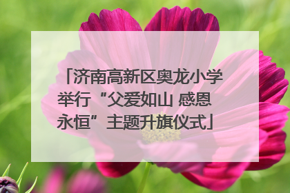 济南高新区奥龙小学举行“父爱如山 感恩永恒”主题升旗仪式