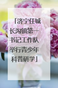 济宁任城长沟镇第一书记工作队举行青少年科普研学