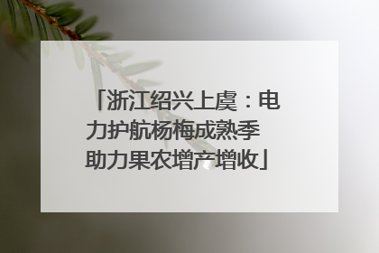 浙江绍兴上虞：电力护航杨梅成熟季 助力果农增产增收