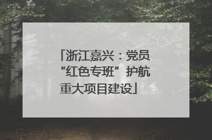浙江嘉兴：党员“红色专班”护航重大项目建设