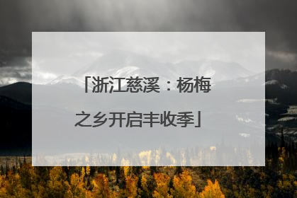 浙江慈溪：杨梅之乡开启丰收季
