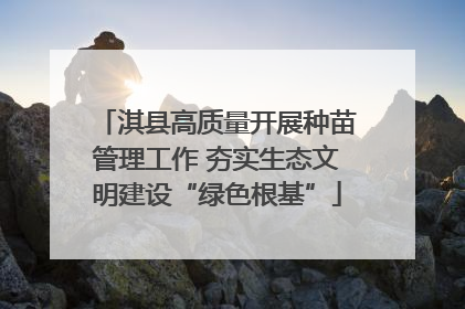 淇县高质量开展种苗管理工作 夯实生态文明建设“绿色根基”