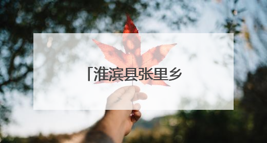 淮滨县张里乡：党建引领，惠民义诊暖人心