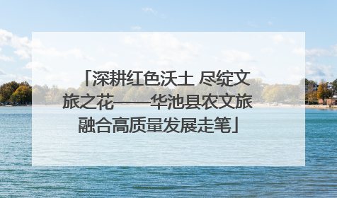 深耕红色沃土 尽绽文旅之花——华池县农文旅融合高质量发展走笔
