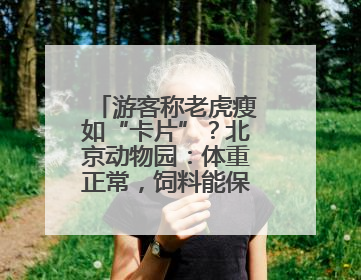 游客称老虎瘦如“卡片”？北京动物园：体重正常，饲料能保障营养需求