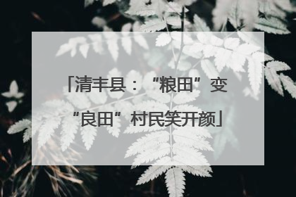 清丰县：“粮田”变“良田”村民笑开颜