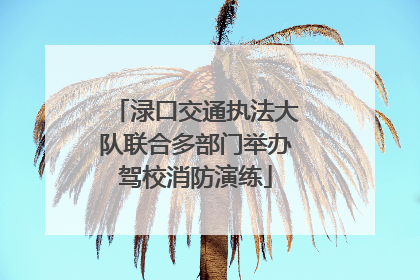 渌口交通执法大队联合多部门举办驾校消防演练