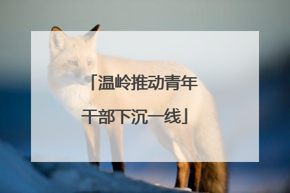 温岭推动青年干部下沉一线