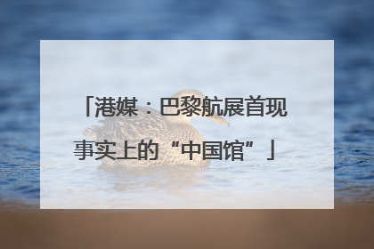 港媒：巴黎航展首现事实上的“中国馆”