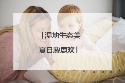湿地生态美 夏日麋鹿欢