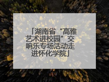 湖南省“高雅艺术进校园”交响乐专场活动走进怀化学院