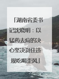 湖南省委书记沈晓明：以猛药去疴的决心坚决刹住违规吃喝歪风