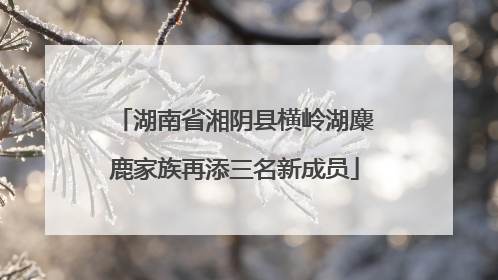 湖南省湘阴县横岭湖麋鹿家族再添三名新成员