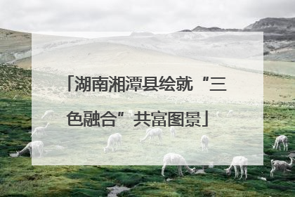 湖南湘潭县绘就“三色融合”共富图景
