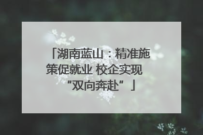 湖南蓝山：精准施策促就业 校企实现“双向奔赴”