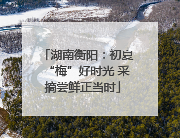 湖南衡阳：初夏“梅”好时光 采摘尝鲜正当时