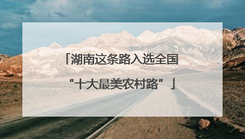 湖南这条路入选全国“十大最美农村路”