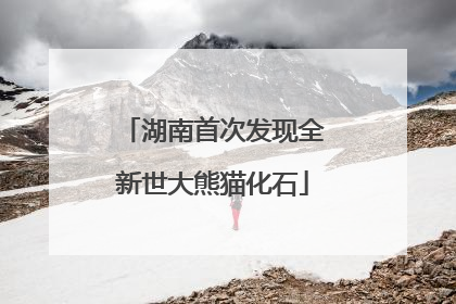湖南首次发现全新世大熊猫化石