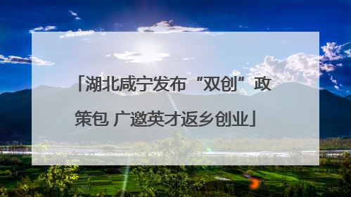 湖北咸宁发布“双创”政策包 广邀英才返乡创业
