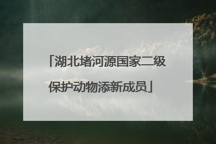 湖北堵河源国家二级保护动物添新成员