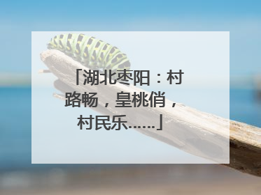 湖北枣阳：村路畅，皇桃俏，村民乐……