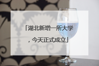 湖北新增一所大学，今天正式成立