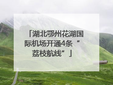湖北鄂州花湖国际机场开通4条“荔枝航线”