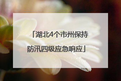 湖北4个市州保持防汛四级应急响应