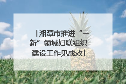湘潭市推进“三新”领域妇联组织建设工作见成效