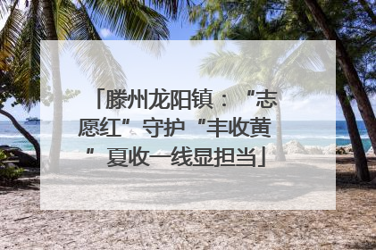 滕州龙阳镇：“志愿红”守护“丰收黄”夏收一线显担当