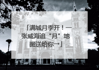 满城月季开！一张威海追“月”地图送给你→