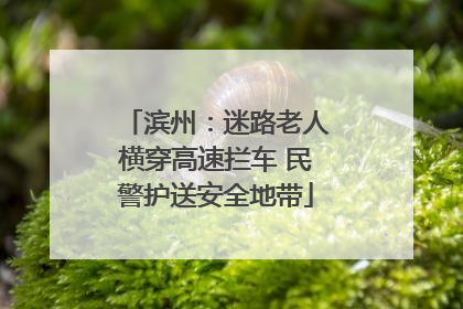 滨州：迷路老人横穿高速拦车 民警护送安全地带