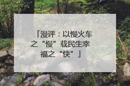 漫评：以慢火车之“慢”载民生幸福之“快”