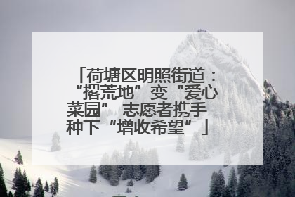 荷塘区明照街道：“撂荒地”变“爱心菜园” 志愿者携手种下“增收希望”
