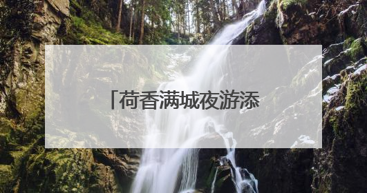 荷香满城夜游添趣 沙湖公园第11届荷花展开展