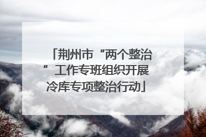 荆州市“两个整治”工作专班组织开展冷库专项整治行动